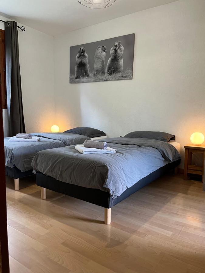 Appartement Rez De Jardin, 2 Chambres/ 4 Personnes, Garage. Бриансон Экстерьер фото